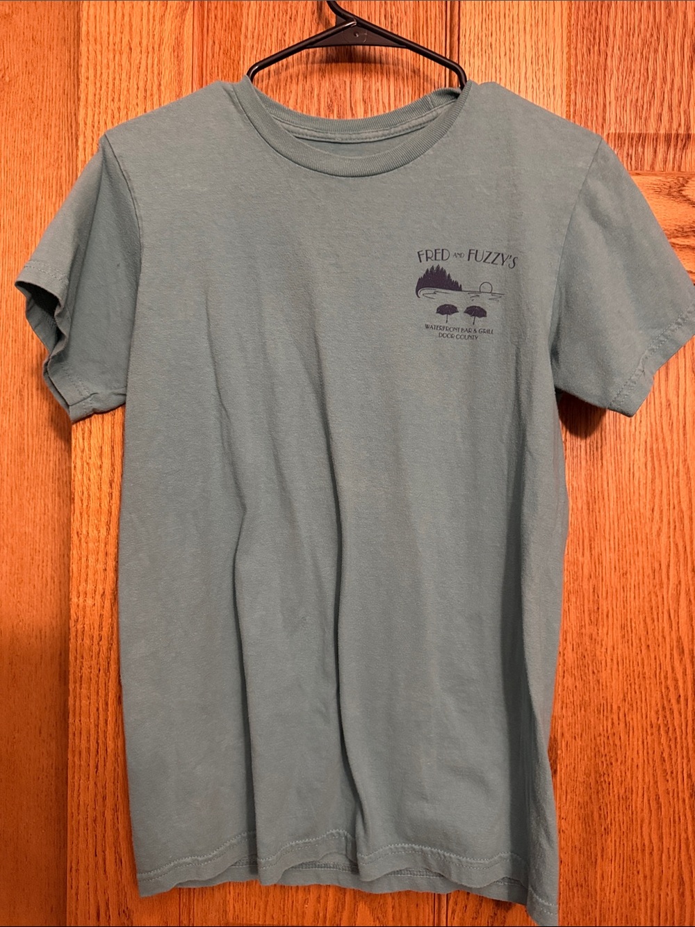 Fred and Fuzzy's Light Teal Graphic Tee
